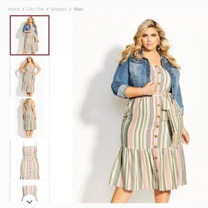 NWT Wild Stripe City Chic Dress- Sage XS/size 2